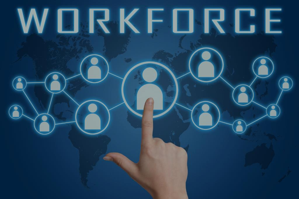 Workforce Development